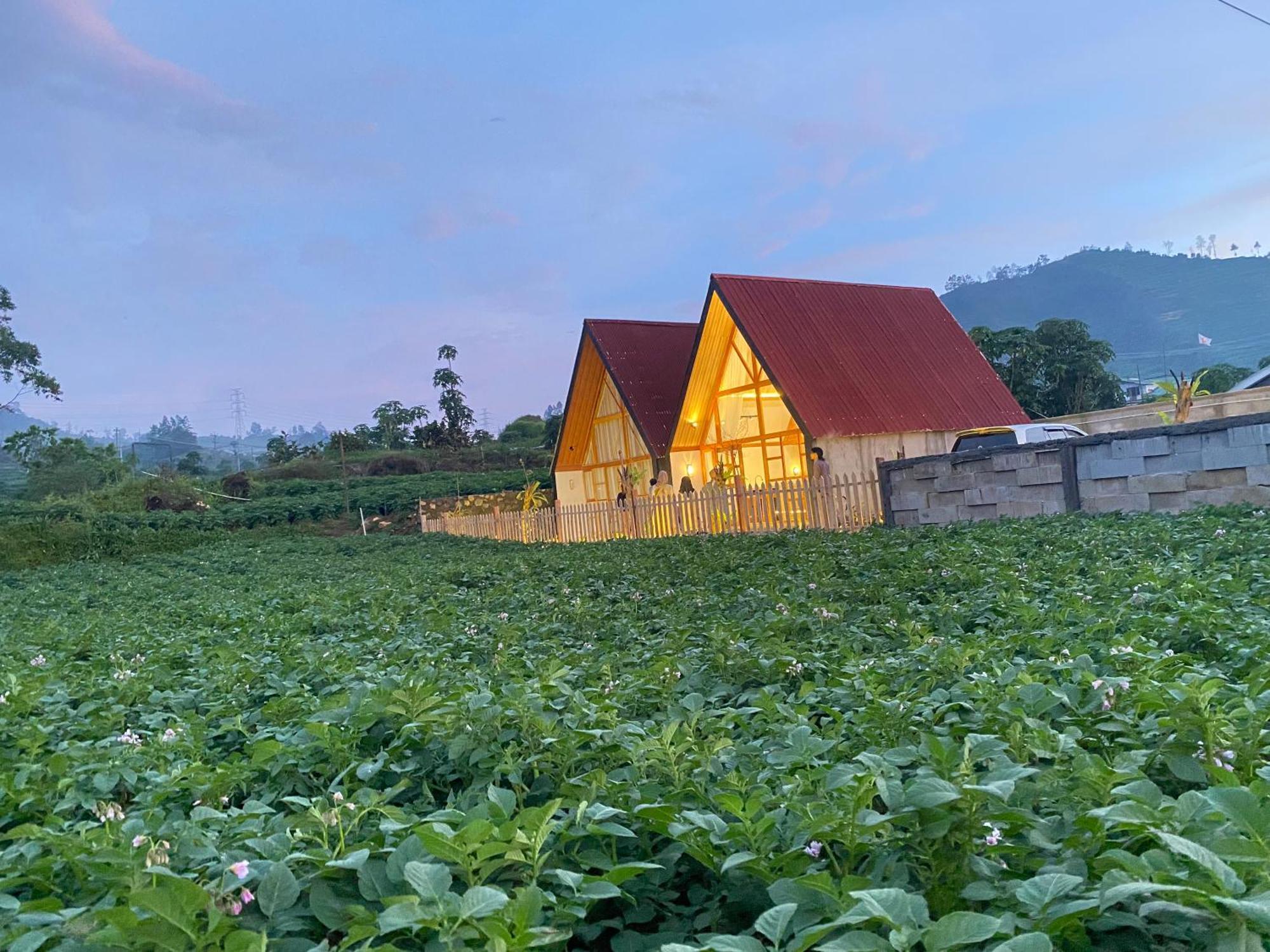 Martos Villa Dieng Diyeng Ngoại thất bức ảnh